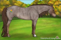 Horse Color:Liver Red Roan 