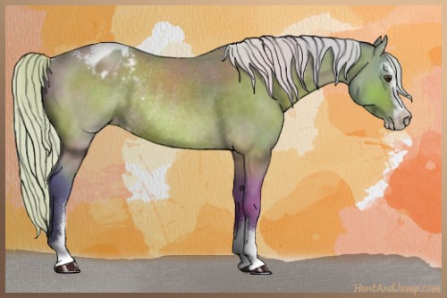 Horse Color:Watercolor Silver Brown Sabino Appaloosa Rabicano 