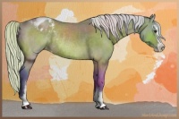 Horse Color:Watercolor Silver Brown Sabino Appaloosa Rabicano 