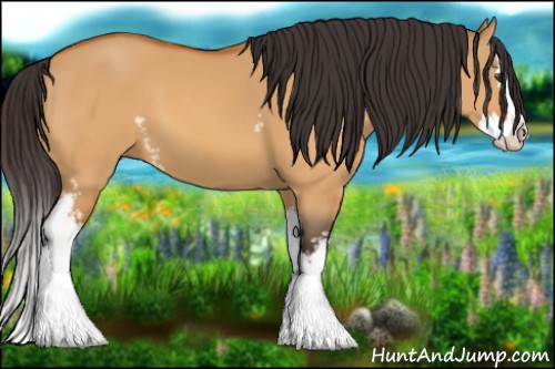 Horse Color:White Spotted Buckskin Dun Sabino Splash 