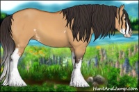 Horse Color:White Spotted Buckskin Dun Sabino Splash 