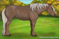 Horse Color:Silver Black 