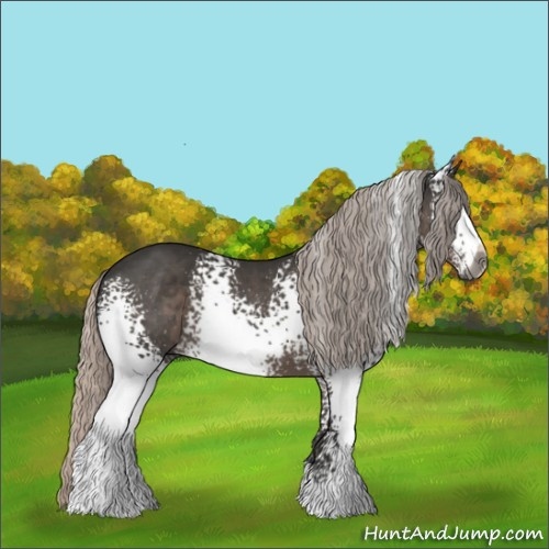 Horse Color:Gray White Spotted Silver Black 