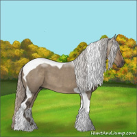 Horse Color:Gray Silver Grullo Tobiano
