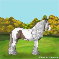 Horse Color:Silver Black Sabino Tobiano 