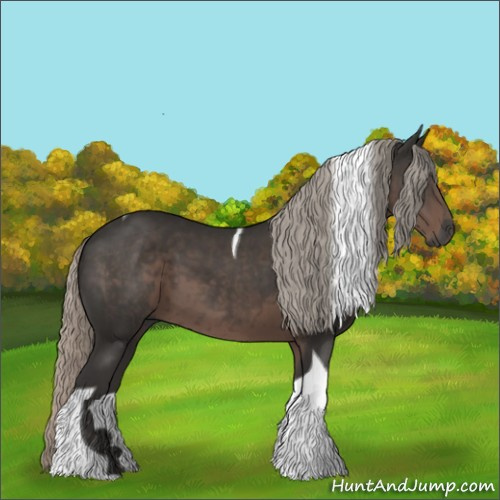 Horse Color:Gray Silver Black Tobiano