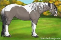 Horse Color:Grullo Splash Tobiano