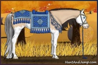 Horse Color:Bay Roan Dun Splash