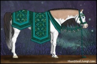 Horse Color:Bay Roan Dun Splash