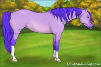Horse Color:Watercolor Bay Dun 