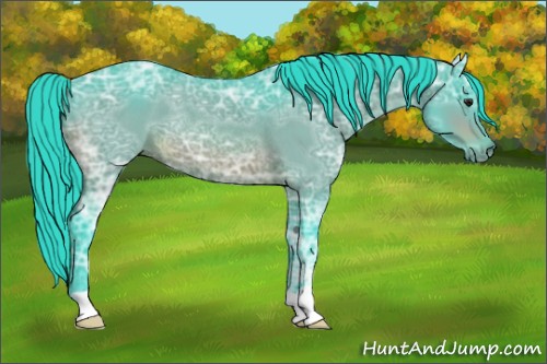 Horse Color:Watercolor Bay Ice Rabicano 