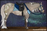 Horse Color:White Spotted Silver Grullo