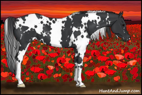 Horse Color:White Spotted Black