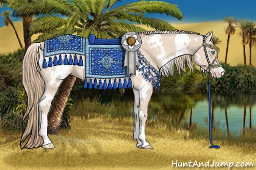 Horse Color:White Spotted Perlino 