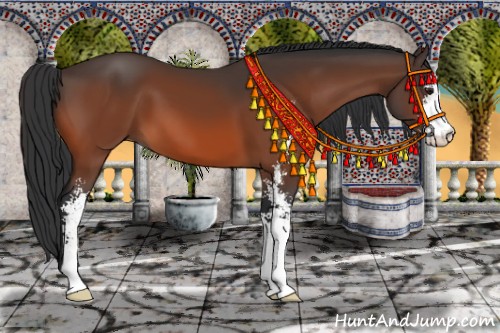 Horse Color:Brown Sabino 