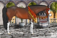 Horse Color:Brown Sabino 