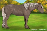 Horse Color:Silver Black 