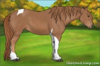 Horse Color:Chestnut Tobiano 