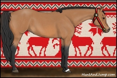 Horse Color:Bay Roan 