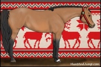 Horse Color:Bay Roan