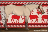 Horse Color:Silver Bay Dun
