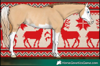 Horse Color:Red Dun Splash Rabicano 