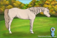 Horse Color:Perlino 