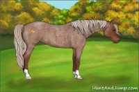 Horse Color:Chocolate Silver Buckskin Roan 