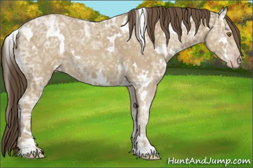 Horse Color:White Spotted Classic Cream Champagne Ice Rabicano