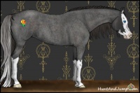 Horse Color:Liver Red Roan Splash 