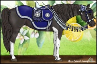 Horse Color:Smoky Black Tobiano 