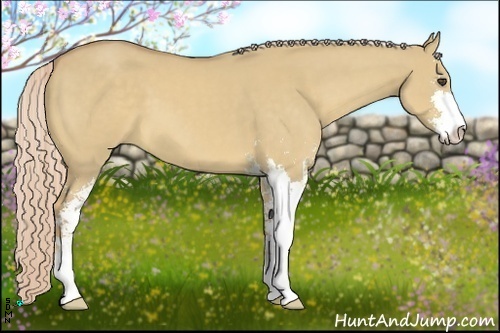 Horse Color:Palomino Dun Sabino