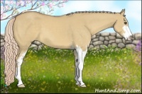 Horse Color:Palomino Dun Sabino 