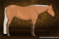 Horse Color:Silver Bay