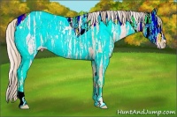Horse Color:Plaid  Silver Bay Ice Rabicano 