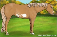 Horse Color:Palomino Frame 