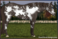 Horse Color:Liver Chestnut Frame 