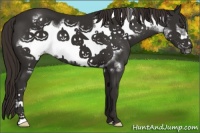 Horse Color:Liver Chestnut Frame 