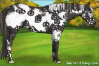 Horse Color:White Spotted Liver Chestnut Frame