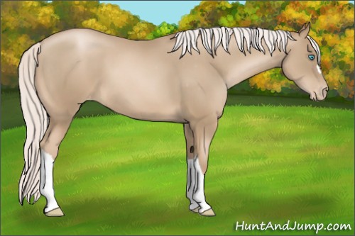 Horse Color:Silver Smoky Black Pearl Varnish
