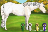 Horse Color:White Spotted Perlino Appaloosa 