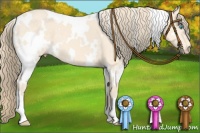 Horse Color:White Spotted Perlino 