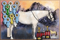 Horse Color:White Spotted Perlino 