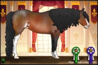Horse Color:Brown Sabino