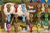 Horse Color:Buckskin Dun Appaloosa