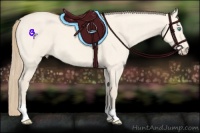 Horse Color:Perlino Dun 