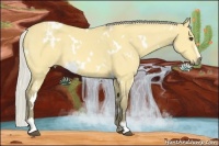 Horse Color:White Spotted Silver Buckskin Dun Sabino