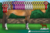 Horse Color:Buckskin 