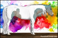 Horse Color:Watercolor Silver Black Tobiano Rabicano