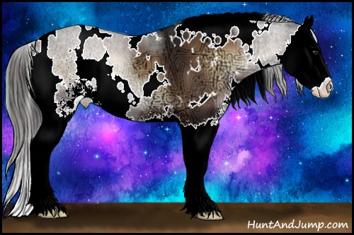 Horse Color:White Spotted Liver Red Onyx Ice Sabino Splash 